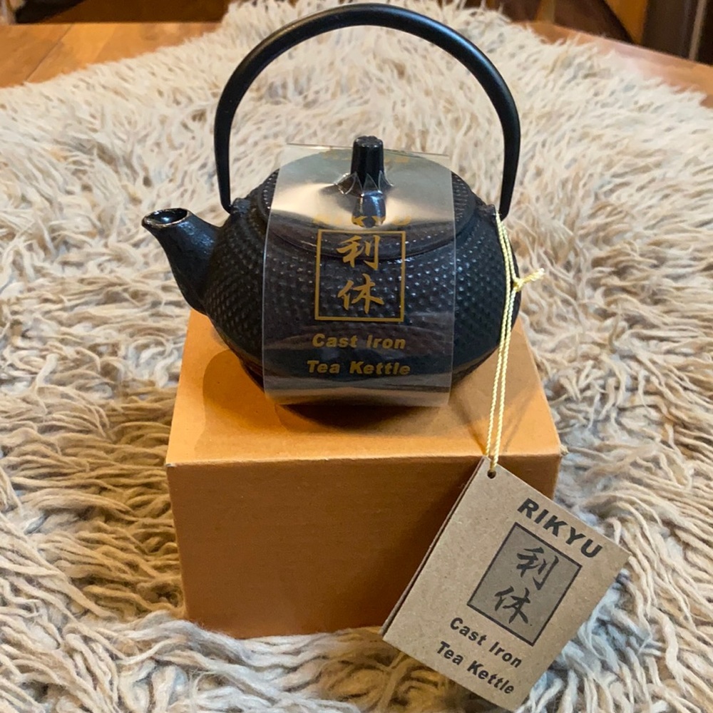 RIKYU cast iron tea kettle